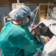 SANITÀ. NATI PRIMA RINNOVA DUE DOTAZIONI DELLA TERAPIA INTENSIVA NEONATALE DI FERRARA SANITÀ. NATI PRIMA RINNOVA DUE DOTAZIONI DELLA TERAPIA INTENSIVA NEONATALE DI FERRARA