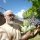 CASA DELL’ORTOLANO: L’ORTO RISCOPRE LE TRADIZIONI DELLA CAMPAGNA FERRARESE CASA DELL’ORTOLANO: L’ORTO RISCOPRE LE TRADIZIONI DELLA CAMPAGNA FERRARESE