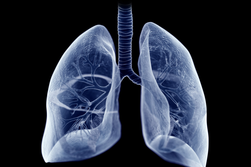 SANITÀ. NELLA GIORNATA MONDIALE DEL POLMONE IL RICHIAMO ALLA PREVENZIONE
